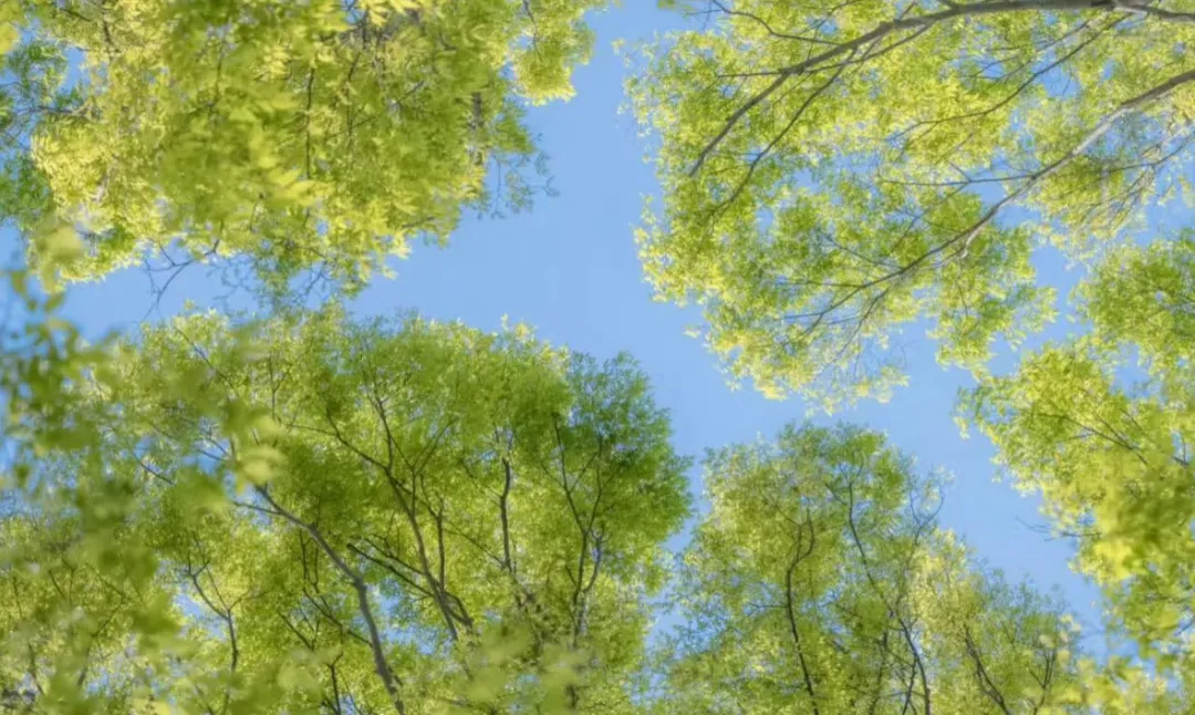 一文读懂旅游市场营销:从基础到前沿,解锁文旅增长密码