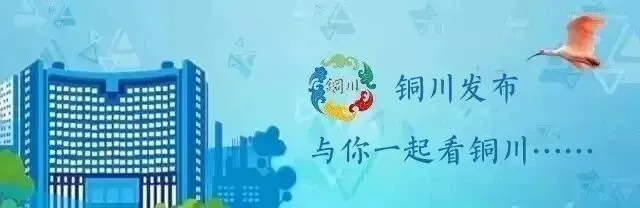 我市节后劳动力市场逐步升温