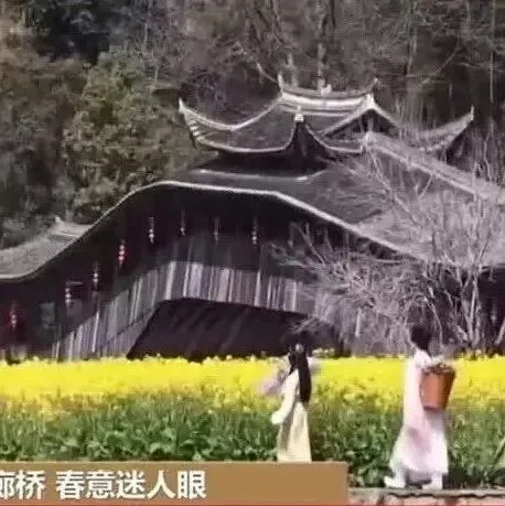 泰顺房产市场最新报告:2026年3月16日新房销售数据大盘点