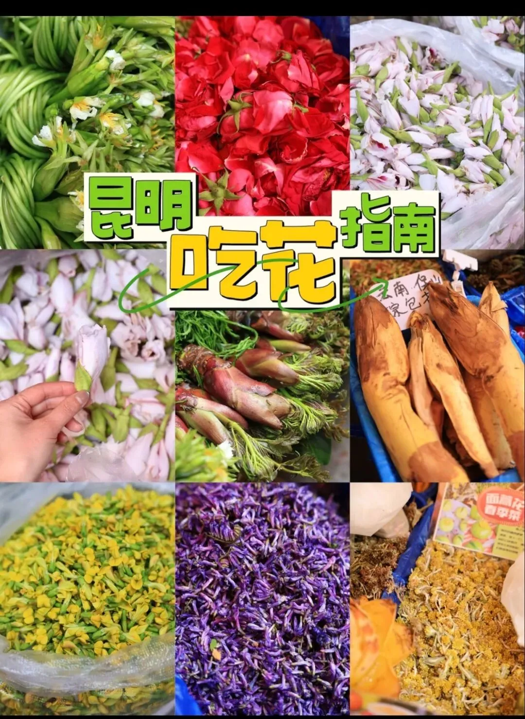 “赏百花、食好花、购名花”昆明市市场监督管理局春季旅游消费提示
