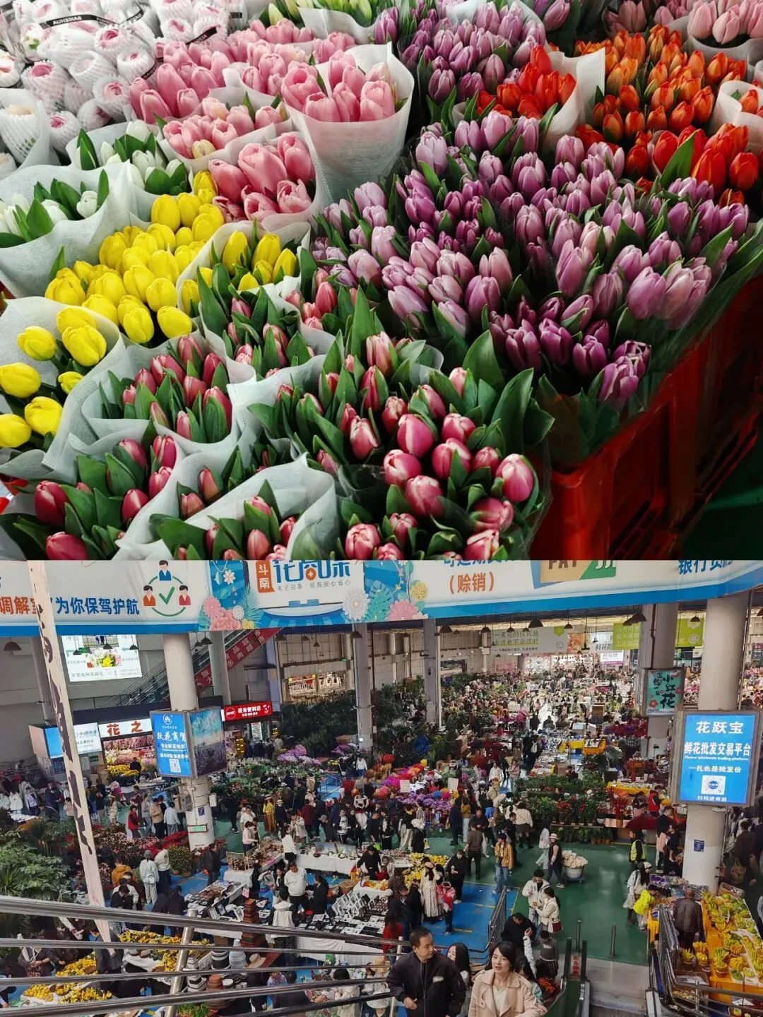 “赏百花、食好花、购名花”昆明市市场监督管理局春季旅游消费提示