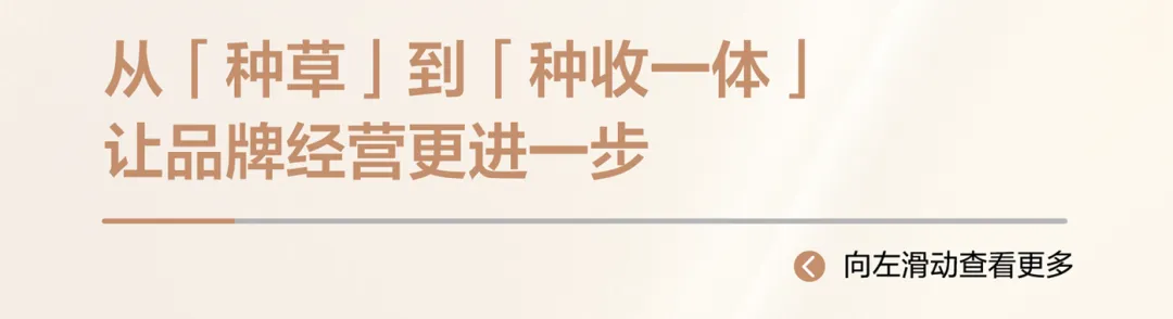 情绪营销|2026小红书玉石珠宝行业种草策略详解