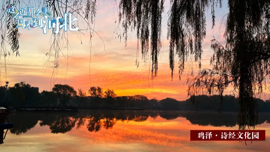 鸡泽县召开优化营商环境新闻发布会·市场监管篇