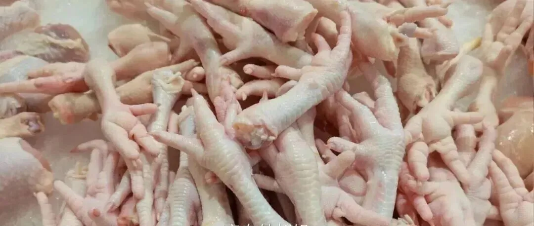 一只鸡2个鸡爪,为什么市场鸡爪供不应求?30年养殖大户说出实情