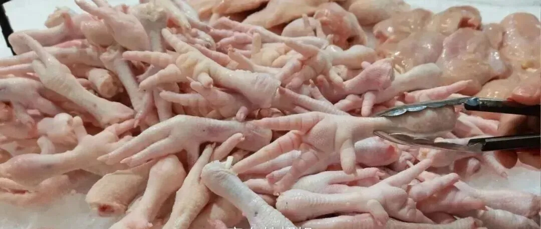 一只鸡2个鸡爪,为什么市场鸡爪供不应求?30年养殖大户说出实情