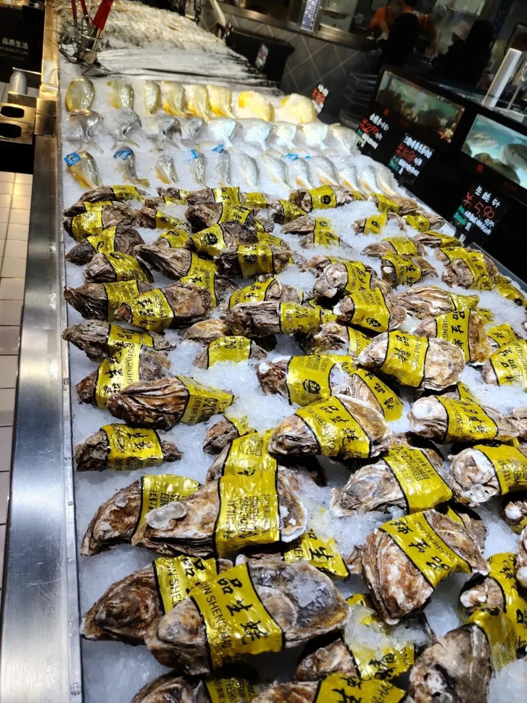 2026年3-4月份生鲜肉品和水产营销指引