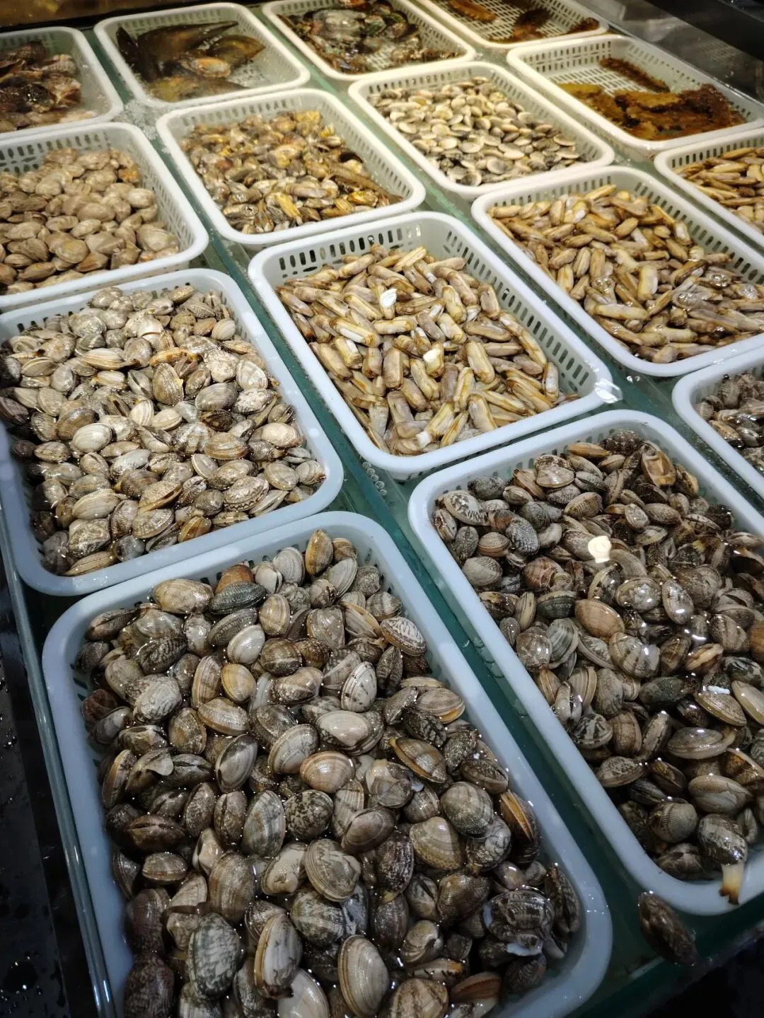 2026年3-4月份生鲜肉品和水产营销指引