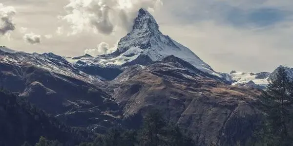 Day451:市场的奇迹,是千万陌生人互不相识,却能完成天衣无缝的协作