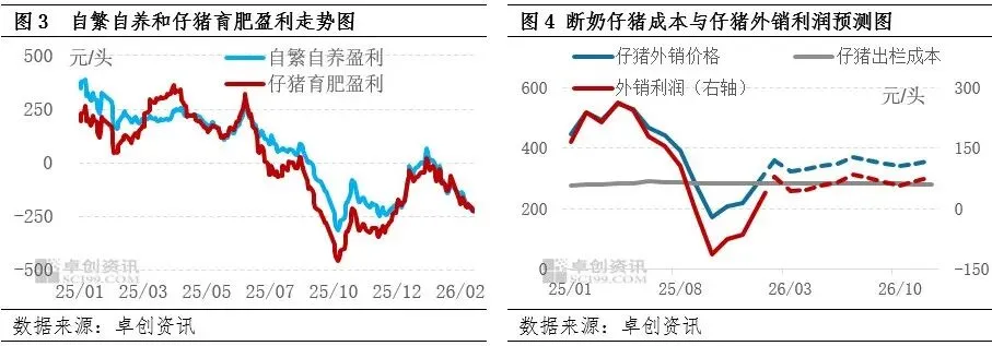 政策与市场共同驱动,母猪产能或在二三季度加速去化