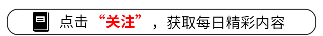 2025显卡市场巨震:英伟达一家独大,AMD创下历史新低,谁还能翻盘?