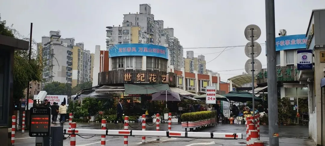 上海丨灵石路岚灵花鸟市场关门倒计时:24天