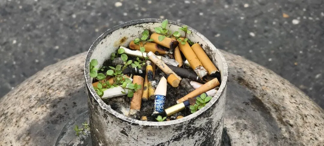 上海丨灵石路岚灵花鸟市场关门倒计时:24天