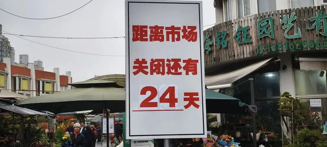 上海丨灵石路岚灵花鸟市场关门倒计时:24天