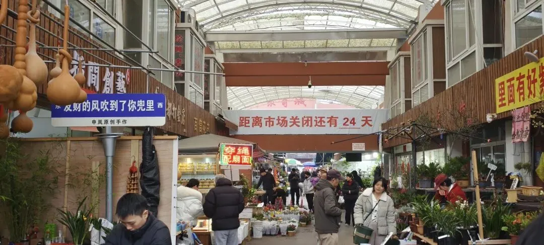 上海丨灵石路岚灵花鸟市场关门倒计时:24天