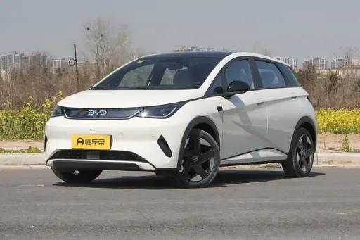 比亚迪海豚,纯电家用市场的实力担当