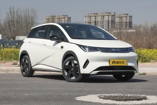 比亚迪海豚,纯电家用市场的实力担当