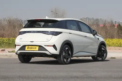 比亚迪海豚,纯电家用市场的实力担当