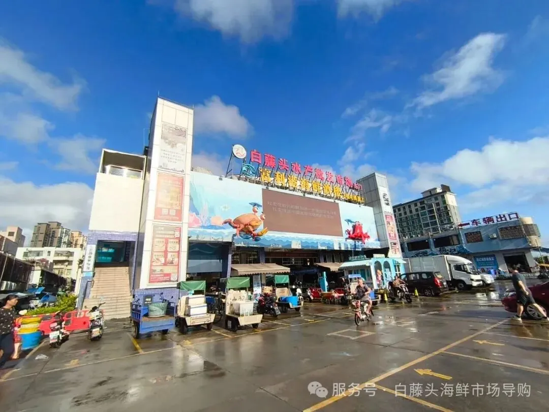 寻味珠海斗门白藤头水产批发市场:冰鲜鲨鱼肠,藏在市场深处的海洋“脆”宝!冰鲜鲨鱼肠>南海鲜味密码与一站式采购指南!