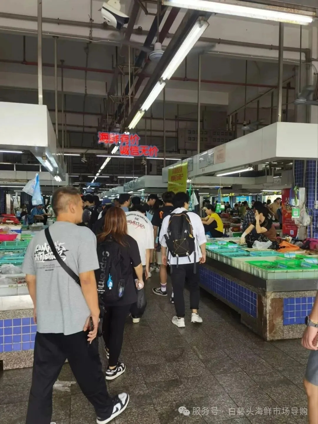 寻味珠海斗门白藤头水产批发市场:冰鲜鲨鱼肠,藏在市场深处的海洋“脆”宝!冰鲜鲨鱼肠>南海鲜味密码与一站式采购指南!