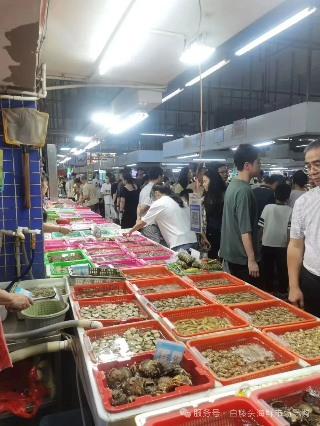 寻味珠海斗门白藤头水产批发市场:冰鲜鲨鱼肠,藏在市场深处的海洋“脆”宝!冰鲜鲨鱼肠>南海鲜味密码与一站式采购指南!