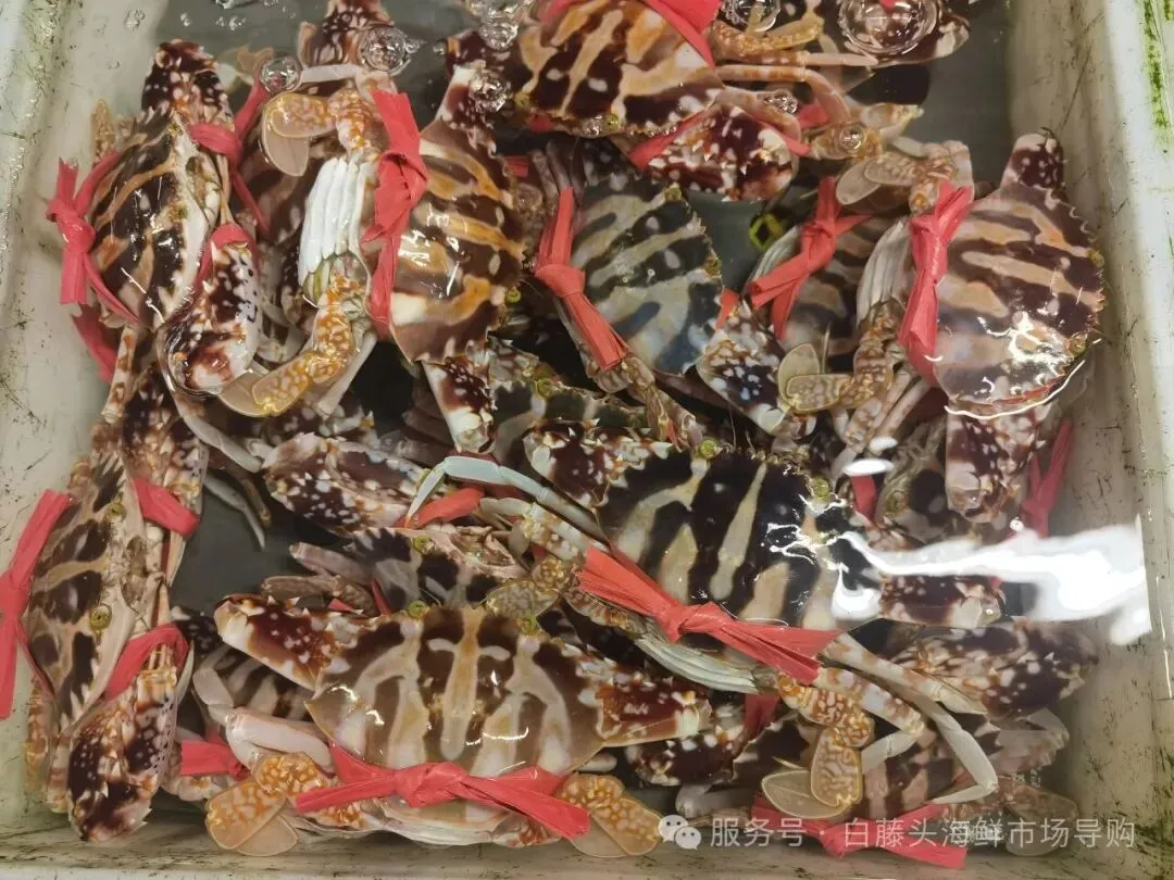 寻味珠海斗门白藤头水产批发市场:冰鲜鲨鱼肠,藏在市场深处的海洋“脆”宝!冰鲜鲨鱼肠>南海鲜味密码与一站式采购指南!