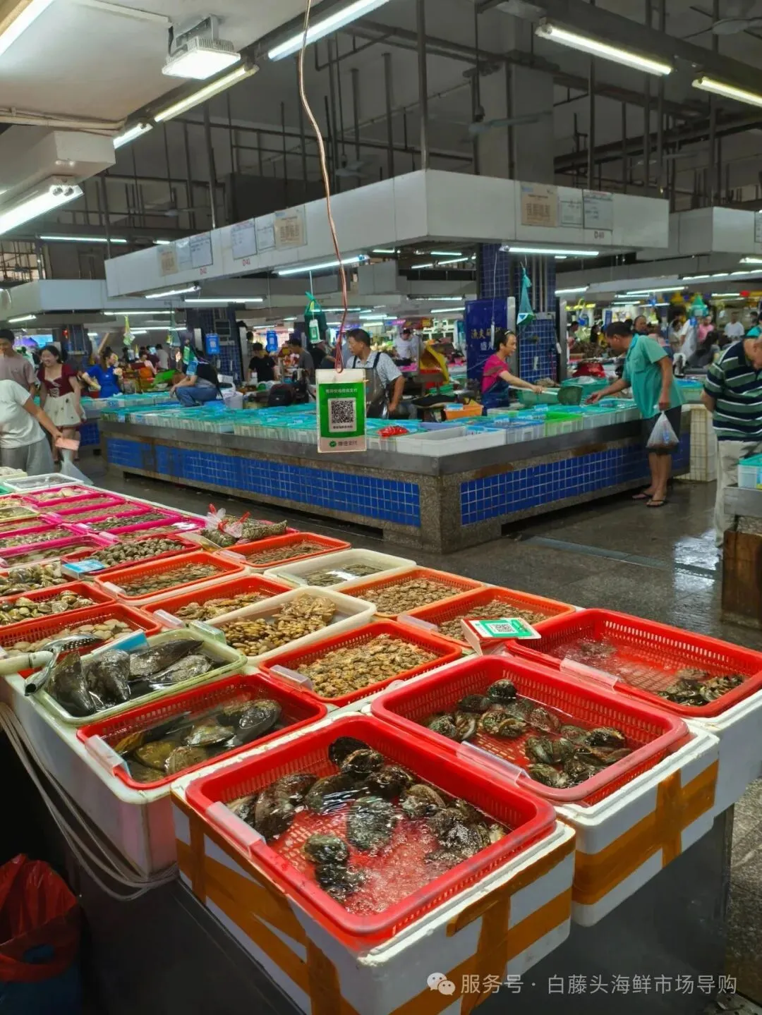 寻味珠海斗门白藤头水产批发市场:冰鲜鲨鱼肠,藏在市场深处的海洋“脆”宝!冰鲜鲨鱼肠>南海鲜味密码与一站式采购指南!