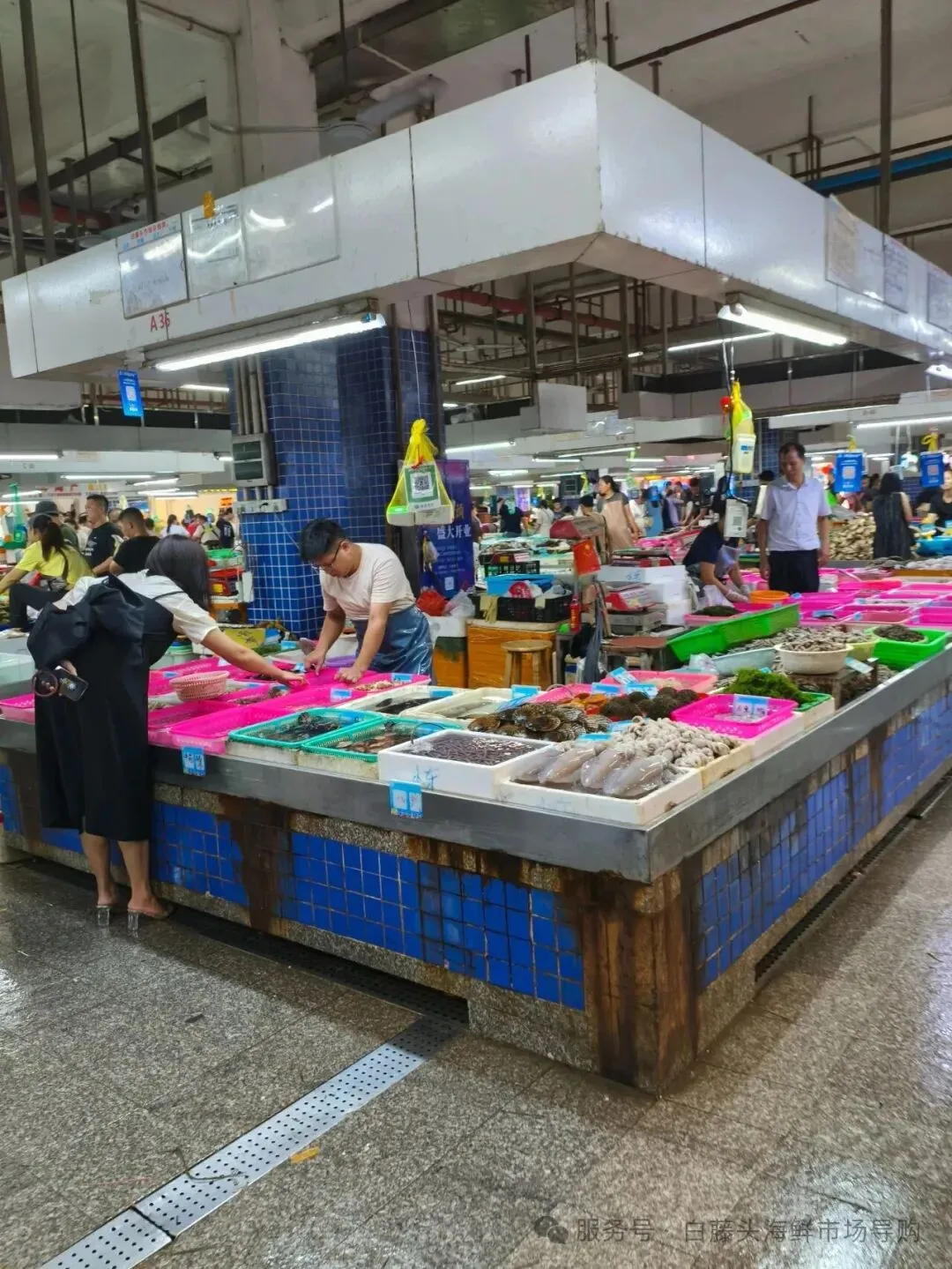 寻味珠海斗门白藤头水产批发市场:冰鲜鲨鱼肠,藏在市场深处的海洋“脆”宝!冰鲜鲨鱼肠>南海鲜味密码与一站式采购指南!