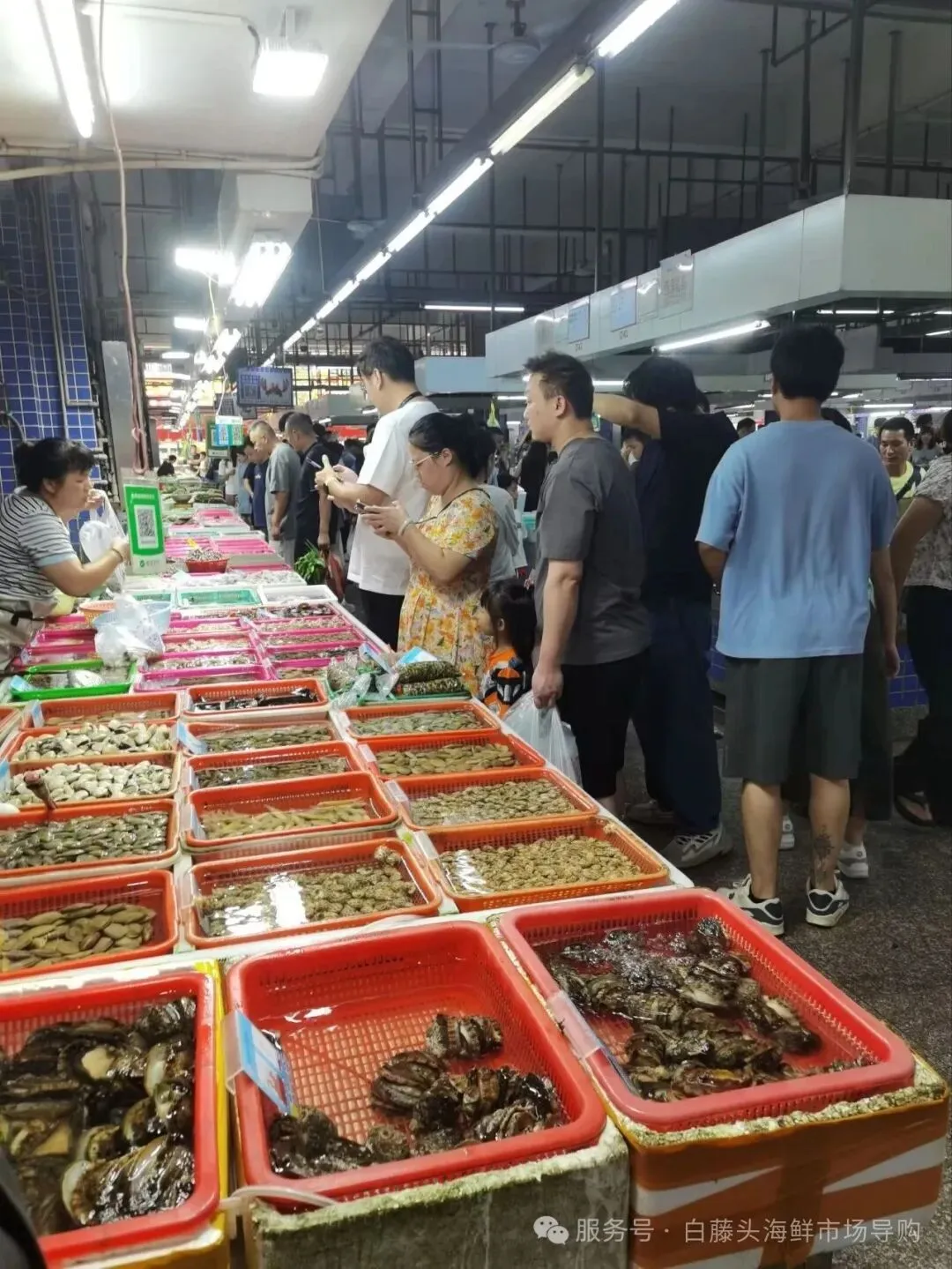 寻味珠海斗门白藤头水产批发市场:冰鲜鲨鱼肠,藏在市场深处的海洋“脆”宝!冰鲜鲨鱼肠>南海鲜味密码与一站式采购指南!