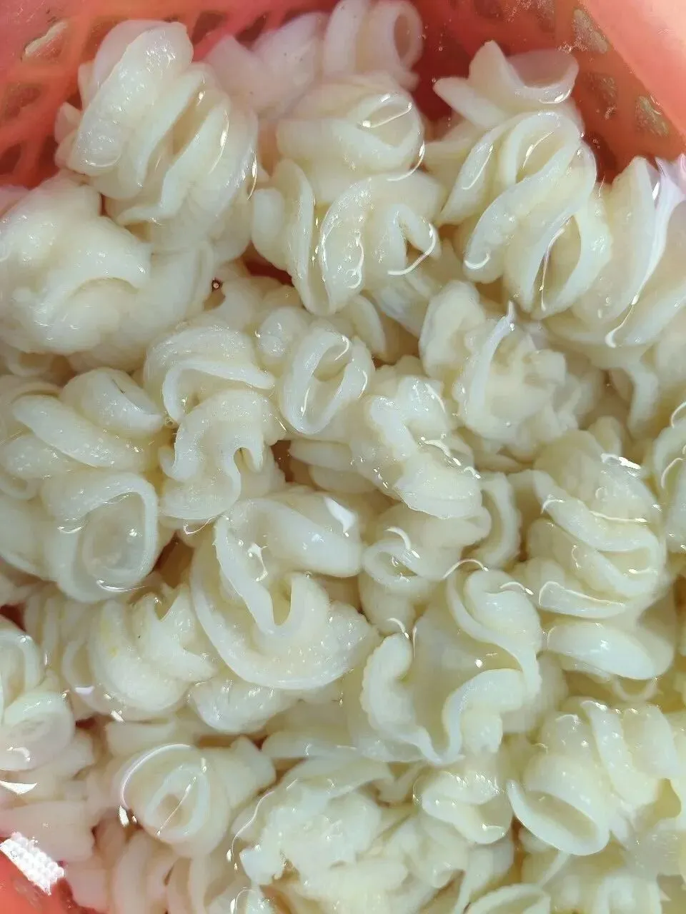 寻味珠海斗门白藤头水产批发市场:冰鲜鲨鱼肠,藏在市场深处的海洋“脆”宝!冰鲜鲨鱼肠>南海鲜味密码与一站式采购指南!