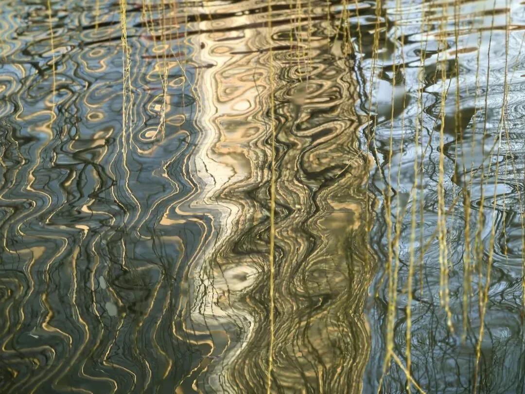 思想返祖——长相普通的女孩将被踢出婚恋市场?