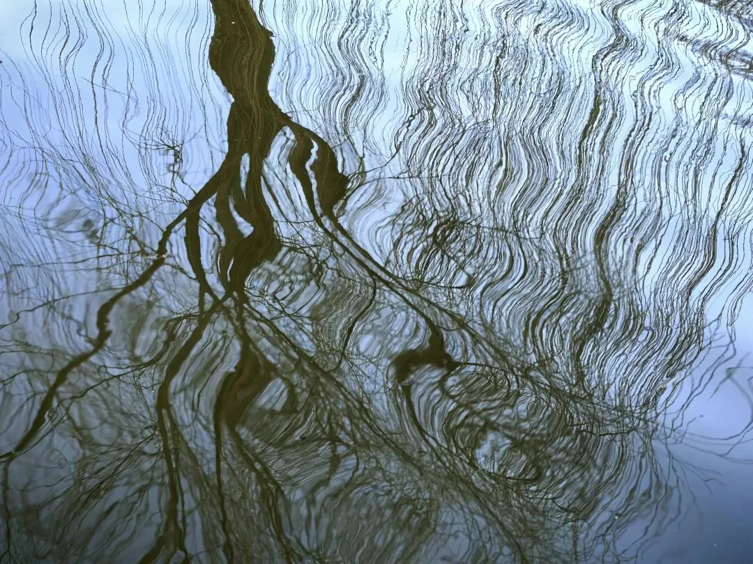 思想返祖——长相普通的女孩将被踢出婚恋市场?