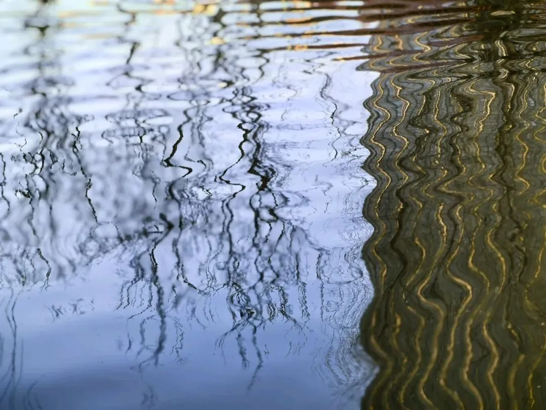 思想返祖——长相普通的女孩将被踢出婚恋市场?
