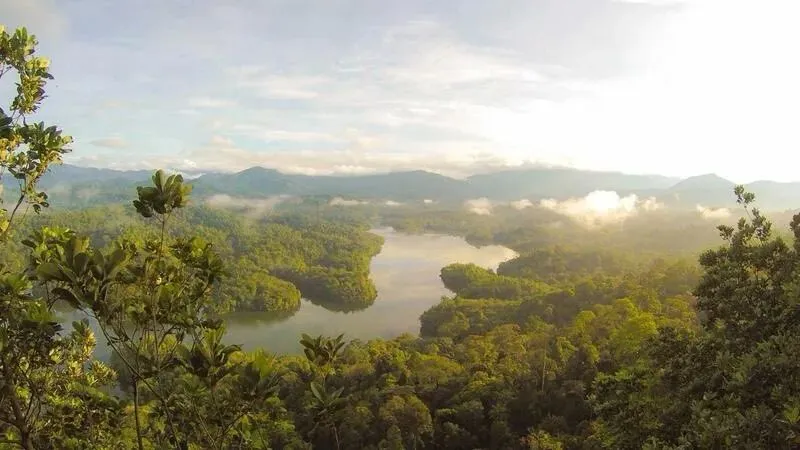 全球市场营销:在不确定中重构增长逻辑