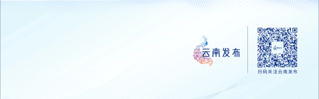 云南2026年上半年计算机技术与软件专业技术资格(水平)考试报名事项通知→