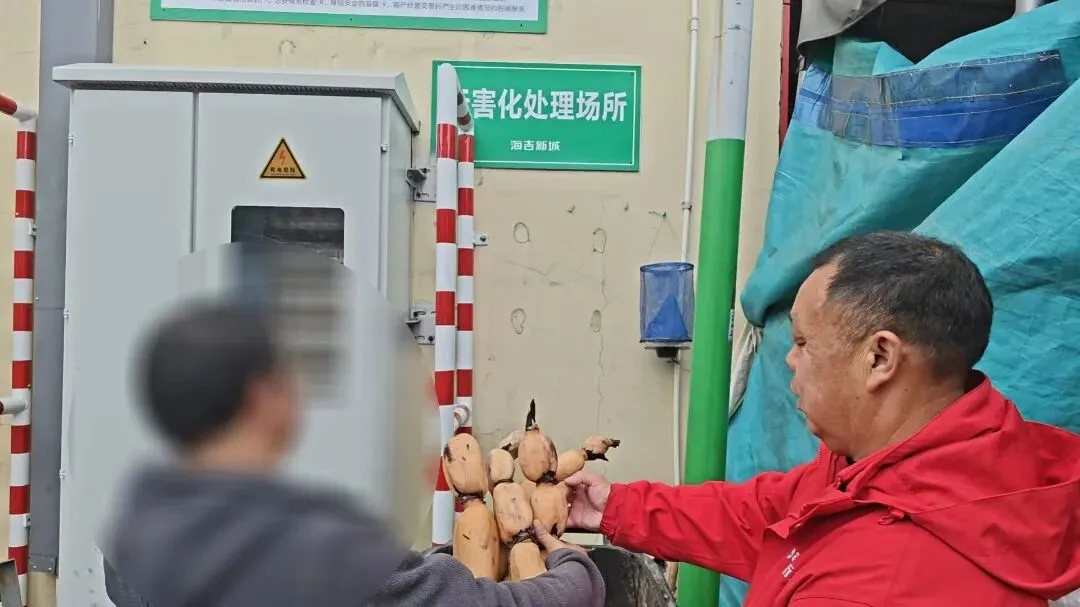 余姚海吉新城农副产品批发市场检测中心3月18日产品抽样检测