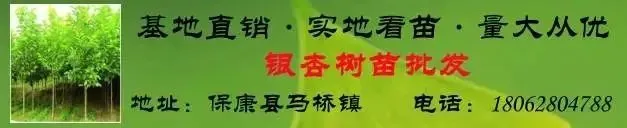 【招聘】淘宝闪购在保康招市场经理、站长、骑手