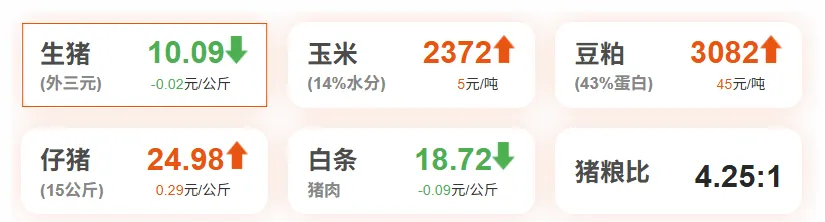 生猪鸡蛋市场早报 | 2026年3月18日 星期三