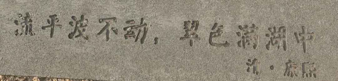 像秃鹰一样俯视市场,让自己变成股市的猎人