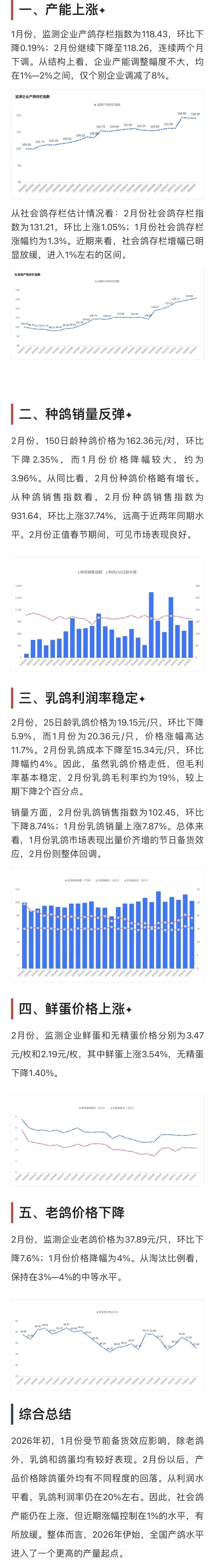 2026年1-2月鸽业市场监测简报
