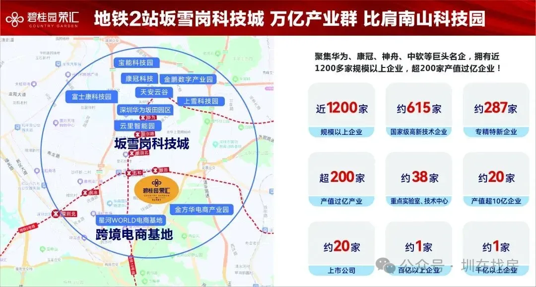 坂田绝版小洋楼|碧桂园荣汇营销中心全新开放暨开盘 热销全城