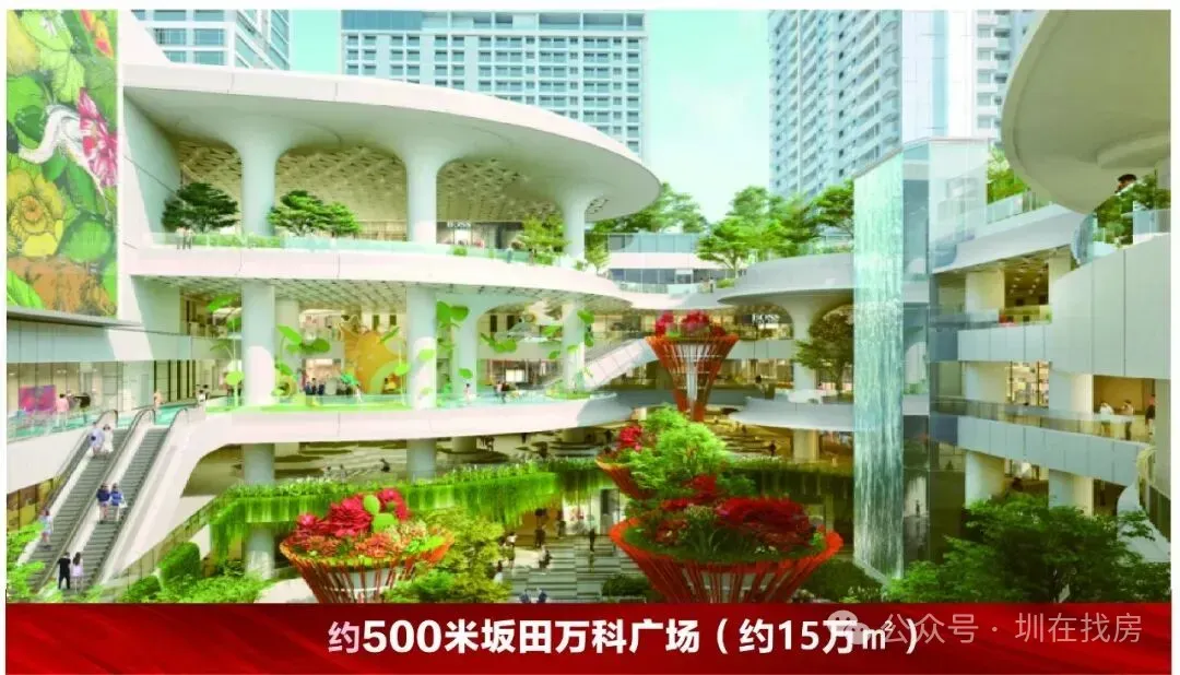 坂田绝版小洋楼|碧桂园荣汇营销中心全新开放暨开盘 热销全城