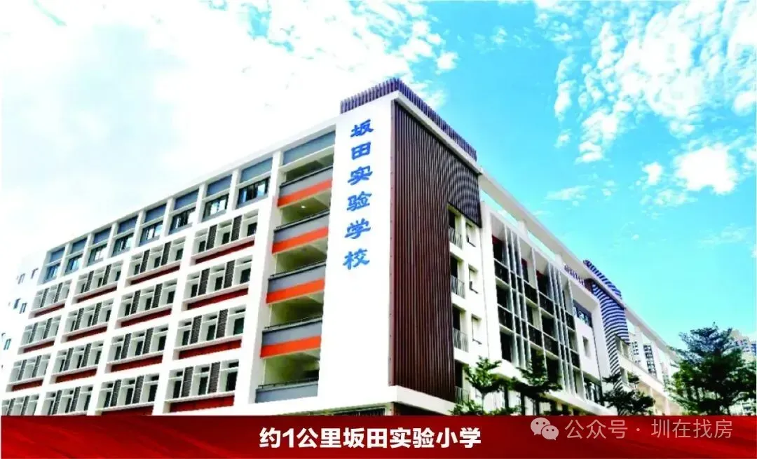 坂田绝版小洋楼|碧桂园荣汇营销中心全新开放暨开盘 热销全城