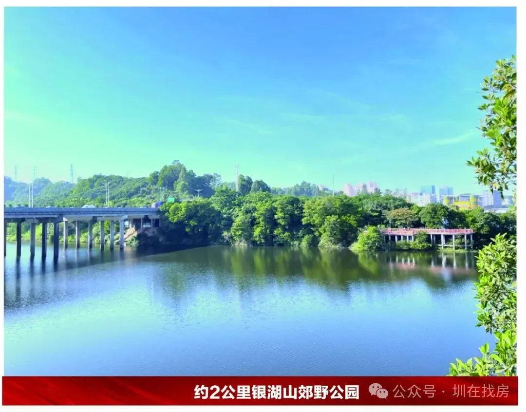 坂田绝版小洋楼|碧桂园荣汇营销中心全新开放暨开盘 热销全城