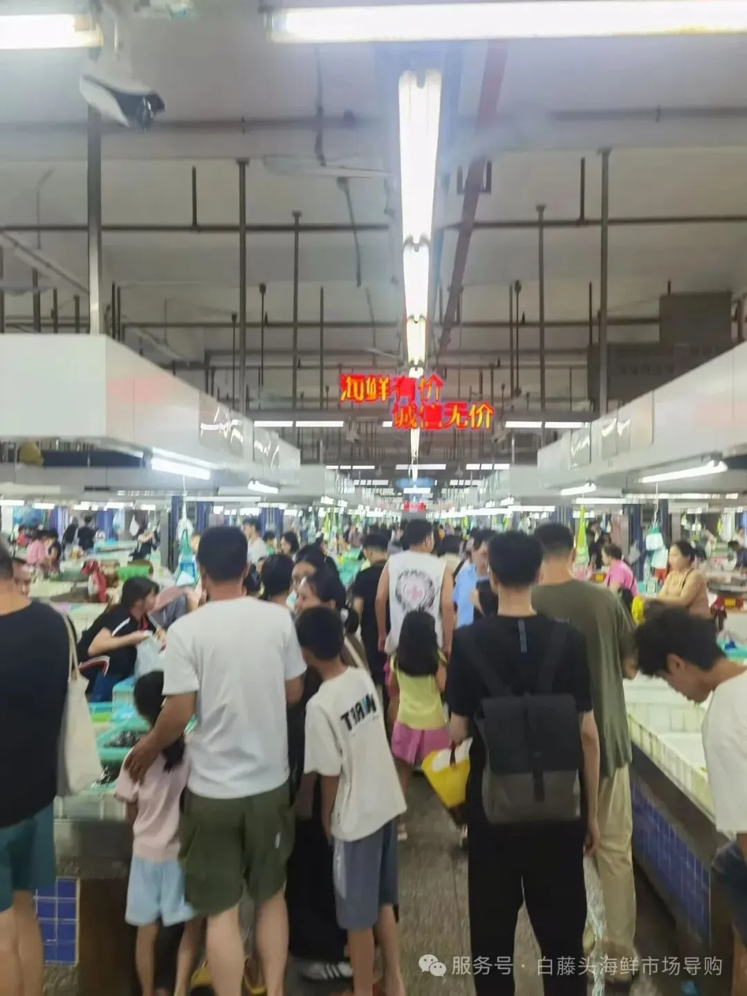 珠海白藤头水产批发市场白贝全攻略:从顶流市场采购到餐桌美味,揭秘鲜味密码、采购秘籍与神仙吃法,每口都是大海馈赠