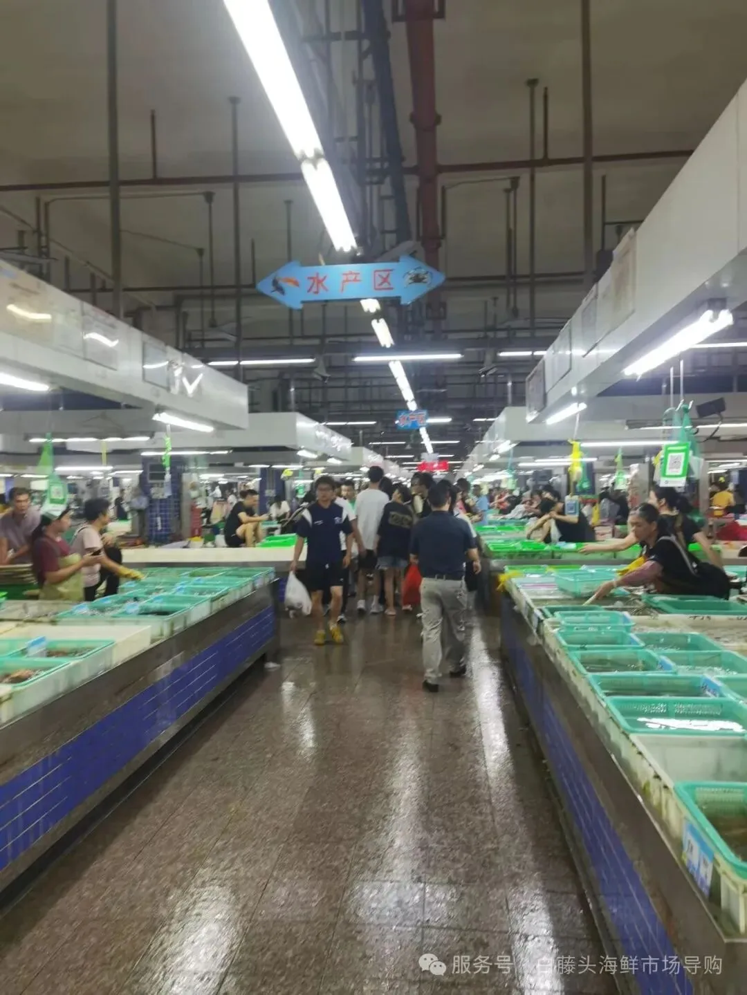 珠海白藤头水产批发市场白贝全攻略:从顶流市场采购到餐桌美味,揭秘鲜味密码、采购秘籍与神仙吃法,每口都是大海馈赠