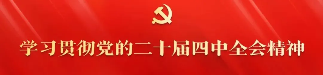 “十五五”规划建议丨坚持有效市场和有为政府相结合