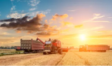 农村农业部部署2026年春季农作物种子市场检查