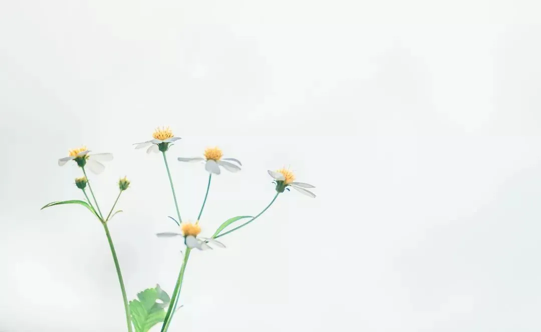 营销型网站利于优化的原因