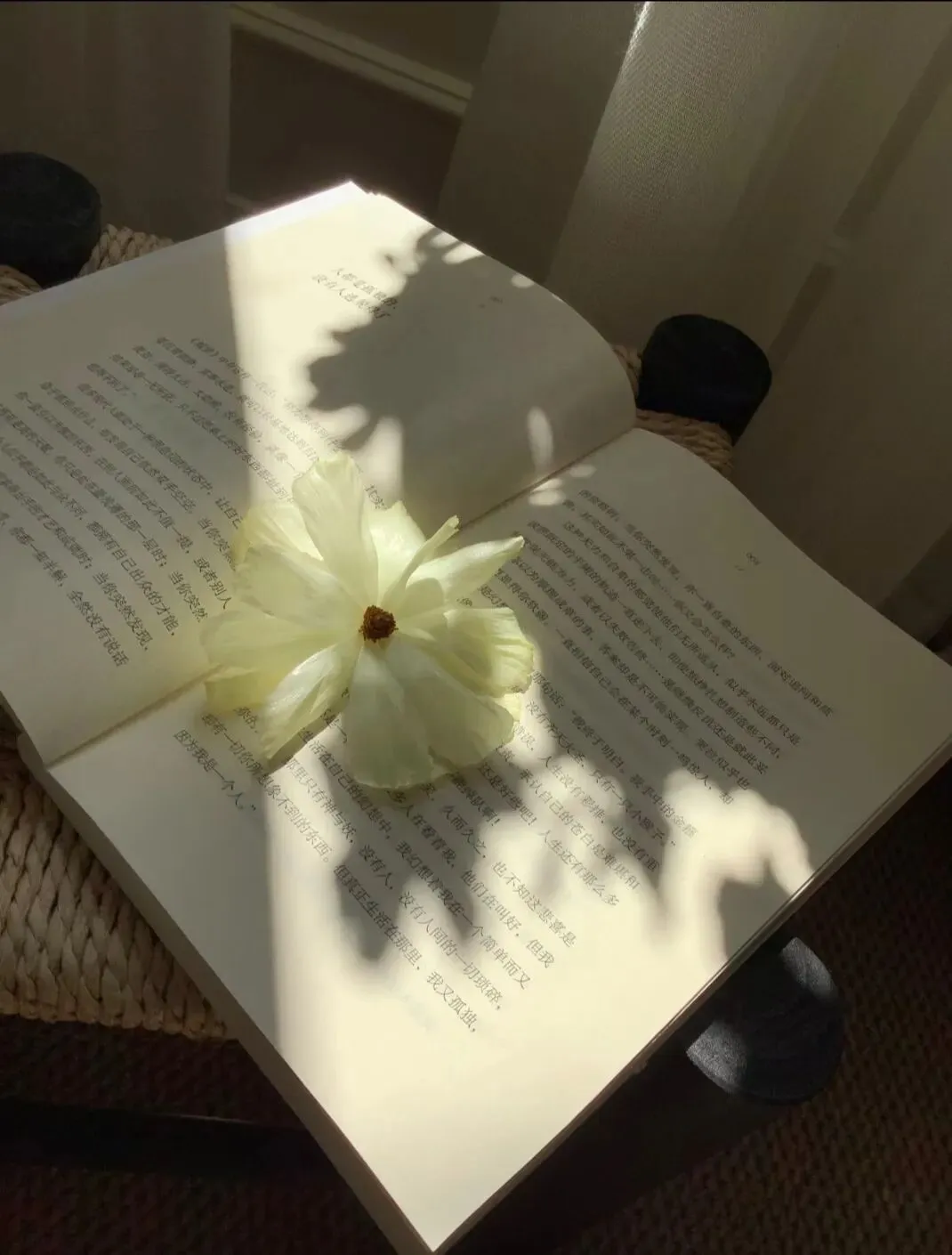 互联网时代,如何高效学习旅游营销?