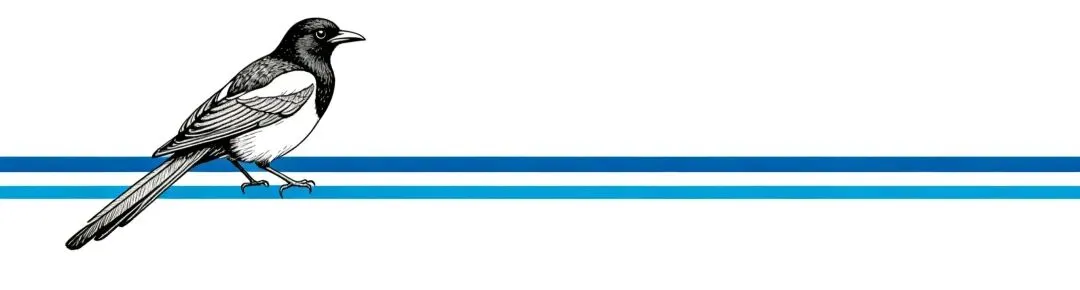 2026,关于网络营销(直销)的三个核心真相